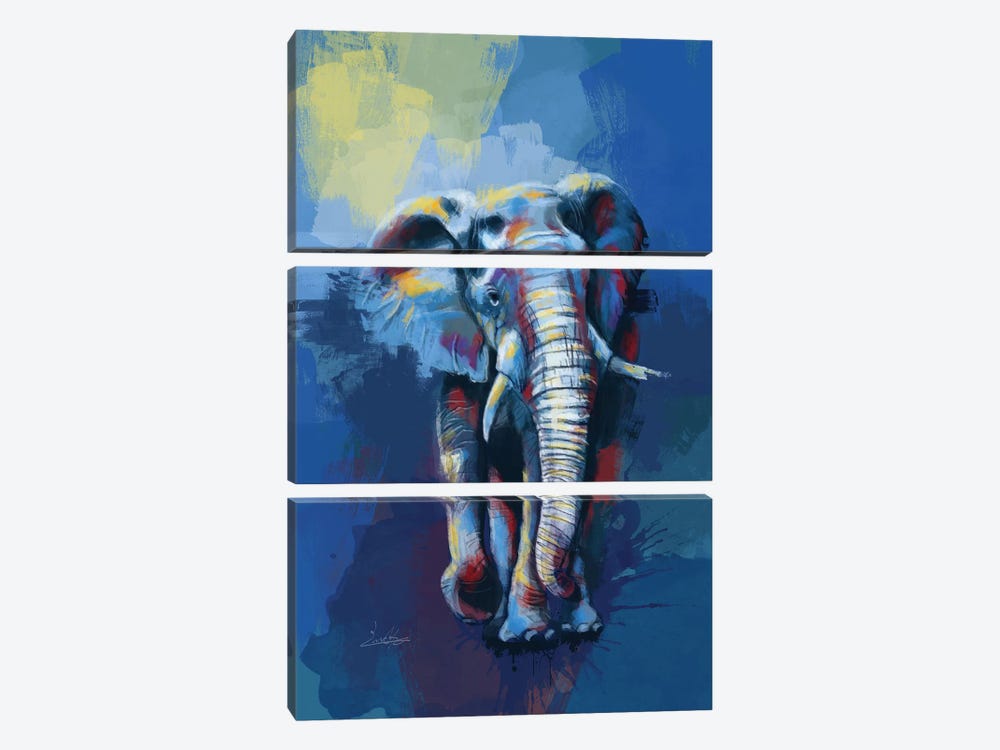 Elephant Dream by Flo Art Studio 3-piece Canvas Wall Art