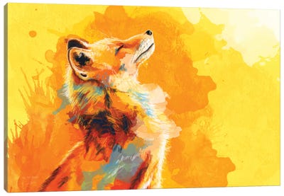 Blissful Light Canvas Art Print - Fox Art