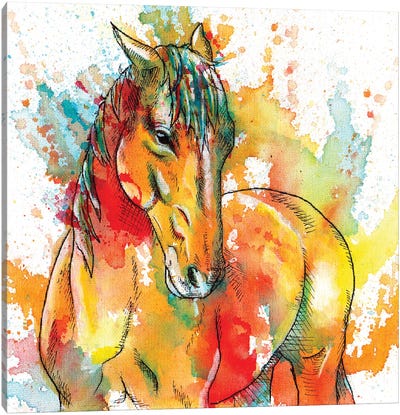 The Spirit Of A Horse Canvas Art Print - Flo Art Studio