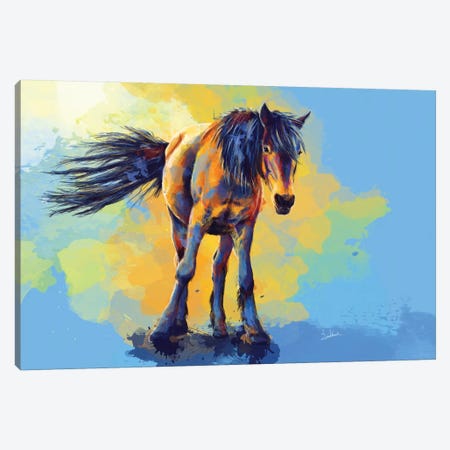 Horse In The Sunlight Canvas Print #FAS29} by Flo Art Studio Canvas Art Print