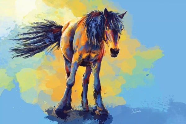 Horse In The Sunlight