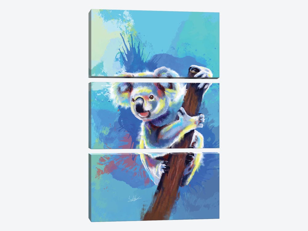 Koala bear by Flo Art Studio 3-piece Canvas Wall Art