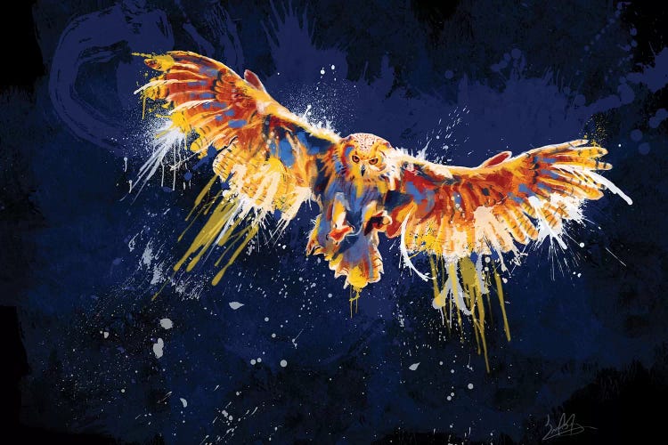 Night Owl by Flo Art Studio wall art