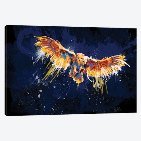 Night Owl Canvas Print #FAS40} by Flo Art Studio Art Print