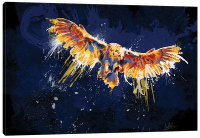Night Owl Canvas Art Print - Flo Art Studio