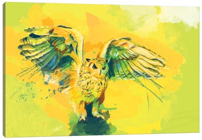 Silent Wings Canvas Art Print - Flo Art Studio