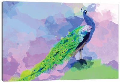Peacock Dream Canvas Art Print - Flo Art Studio
