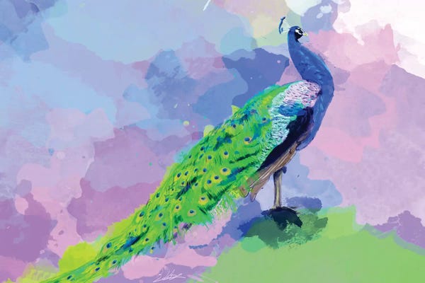 Peacocks: Peacock Dream by Flo Art Studio