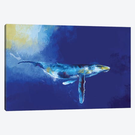 Deep Blue Whale Canvas Print #FAS50} by Flo Art Studio Canvas Artwork