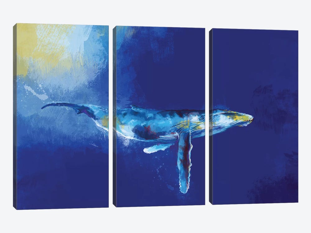 Deep Blue Whale by Flo Art Studio 3-piece Canvas Art