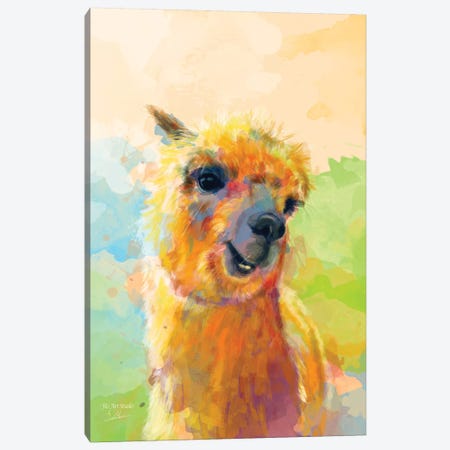 Colorful Happiness Canvas Print #FAS56} by Flo Art Studio Canvas Art Print