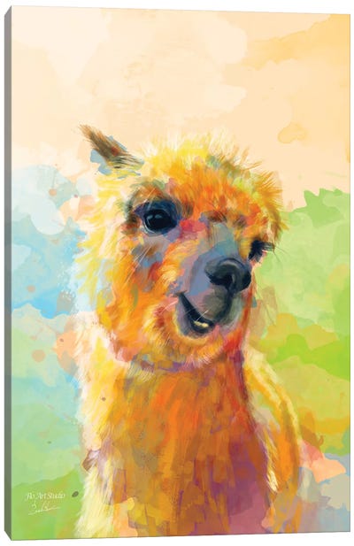 Colorful Happiness Canvas Art Print - Llama & Alpaca Art