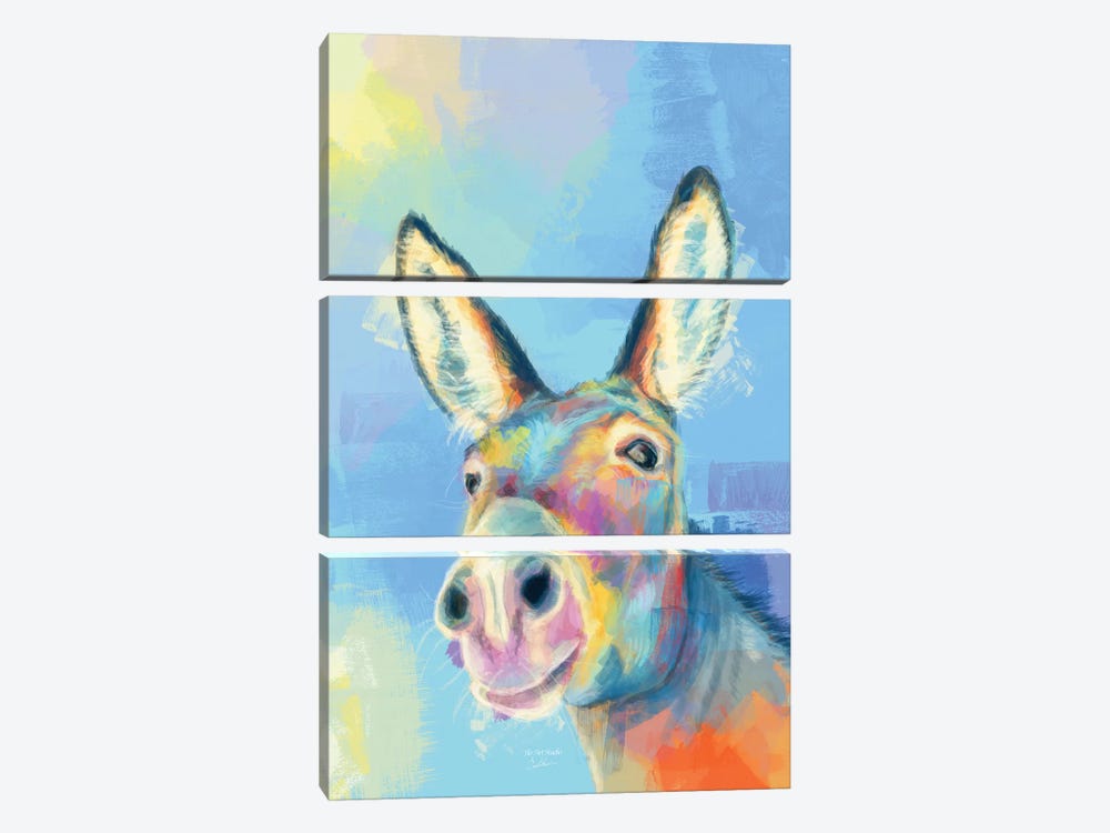 Carefree Donkey by Flo Art Studio 3-piece Canvas Wall Art
