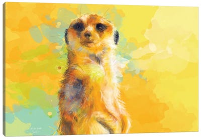 Dear Little Meerkat Canvas Art Print - Flo Art Studio