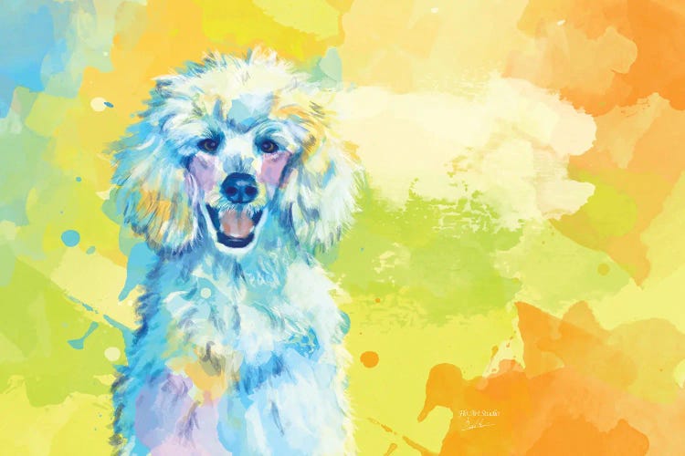 Vibrant Life Of A White Poodle by Flo Art Studio wall art