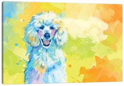 Vibrant Life Of A White Poodle Canvas Art Print - Flo Art Studio