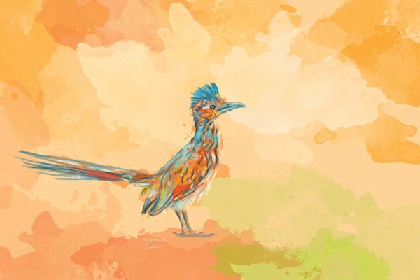 Little Road Runner