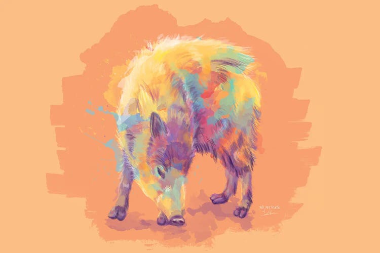 Wild Scent - Javelina Illustration