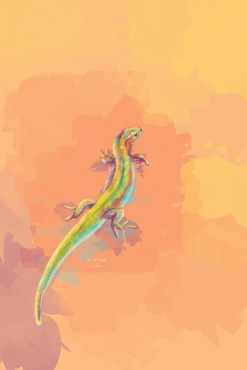 Desert Colors - Lizard Digital Painting