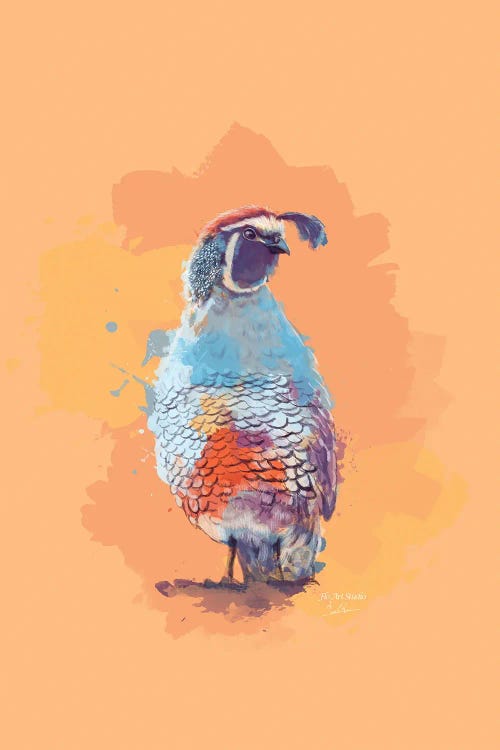 Across The Painted Desert - Quail Digital Illustration