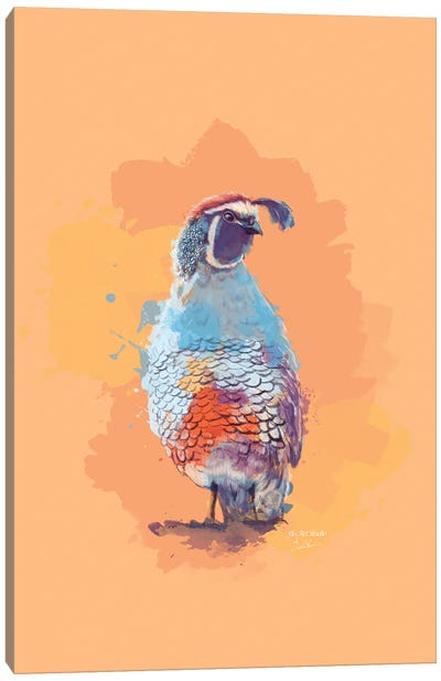 Across The Painted Desert - Quail Digital Illustration Canvas Art Print - Flo Art Studio