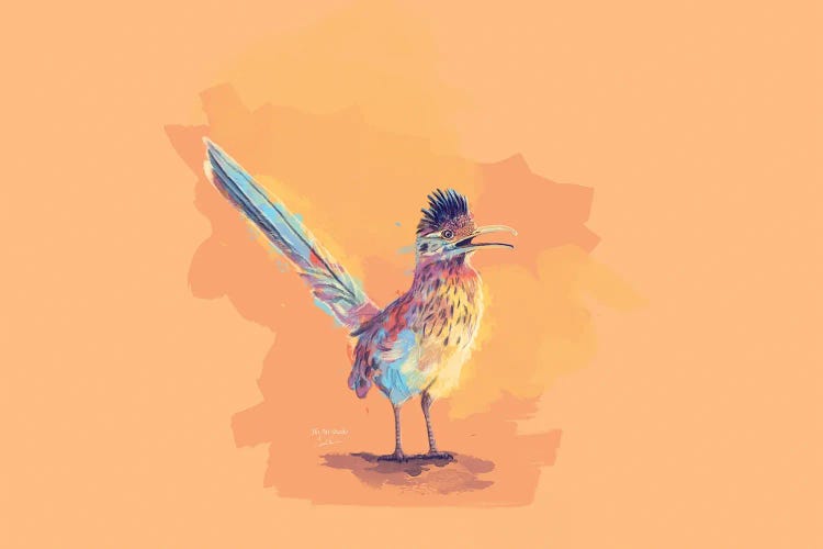 Desert Song - Roadrunner Illustration