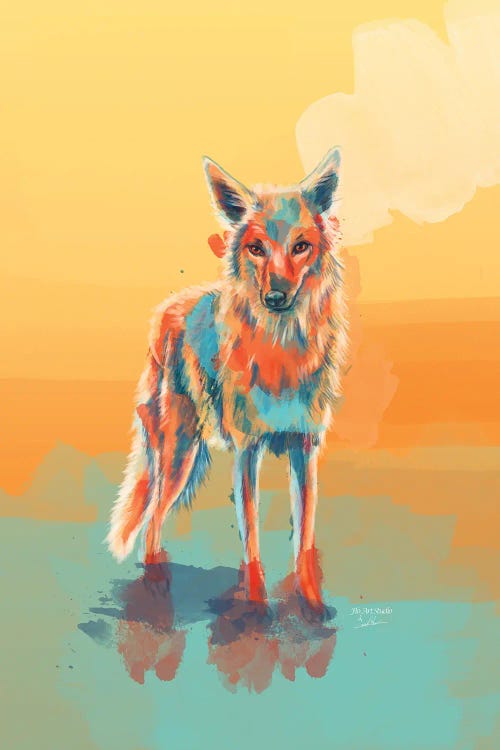 Lone Wild Coyote