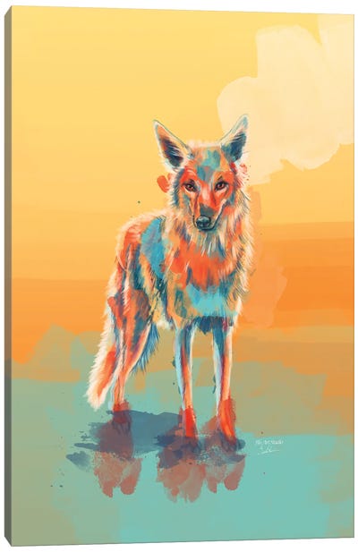 Lone Wild Coyote Canvas Art Print - Flo Art Studio