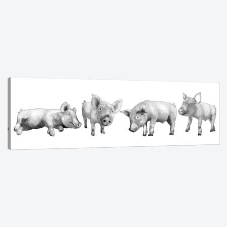 Four Piglets Black And White Canvas Print #FAU104} by Eric Fausnacht Art Print