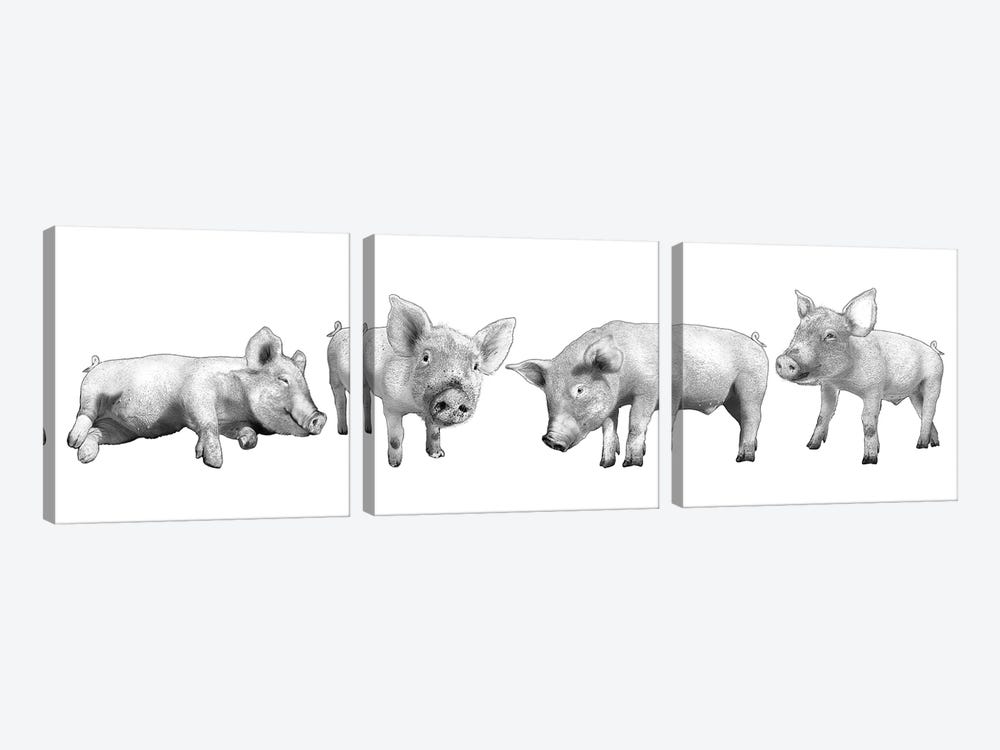 Four Piglets Black And White by Eric Fausnacht 3-piece Canvas Art Print