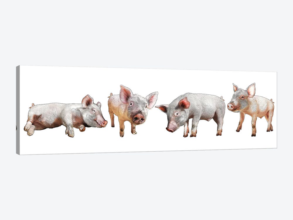 Four Piglets by Eric Fausnacht 1-piece Canvas Wall Art