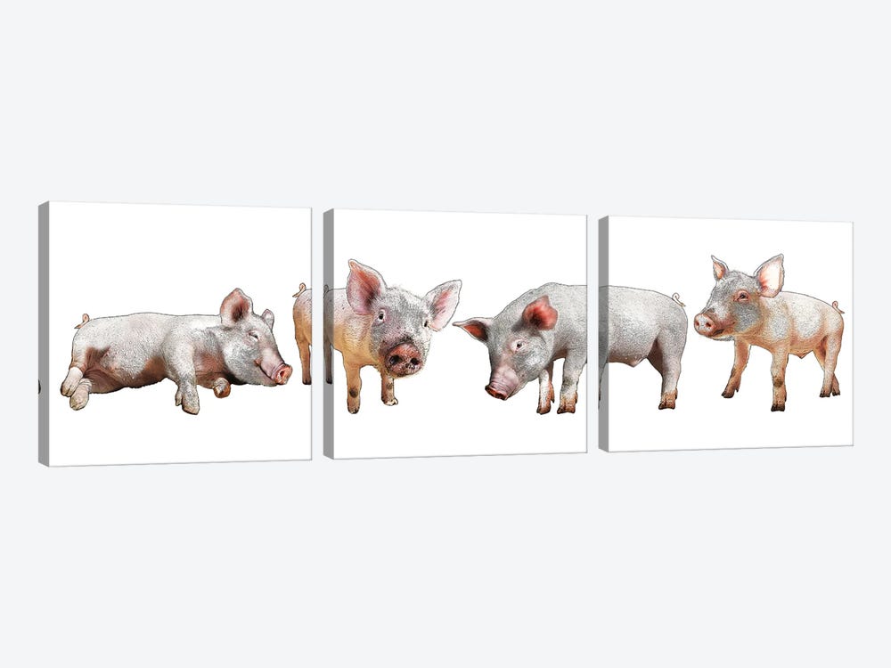Four Piglets by Eric Fausnacht 3-piece Canvas Art