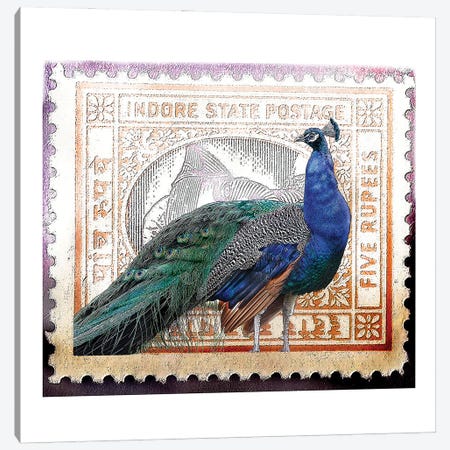 Peacock On India Stamp Canvas Print #FAU117} by Eric Fausnacht Canvas Wall Art