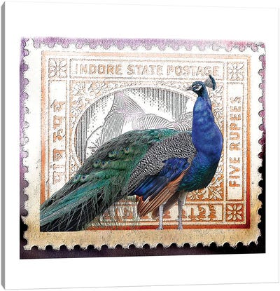 Peacock On India Stamp Canvas Art Print - Eric Fausnacht 
