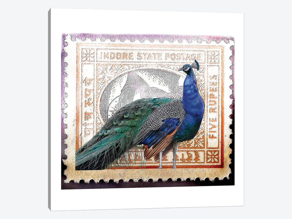 Peacock On India Stamp by Eric Fausnacht 1-piece Canvas Print