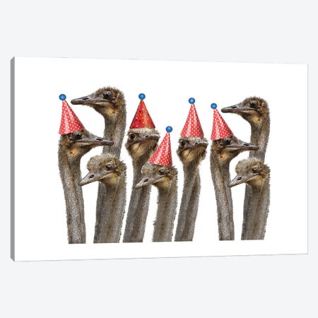 Ostriches In Hats Canvas Print #FAU143} by Eric Fausnacht Canvas Wall Art