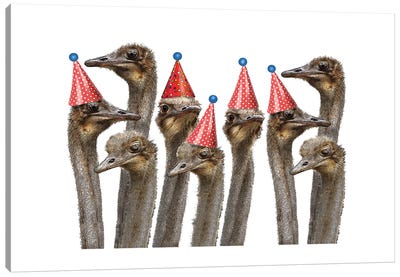 Ostriches In Hats Canvas Art Print - Eric Fausnacht 