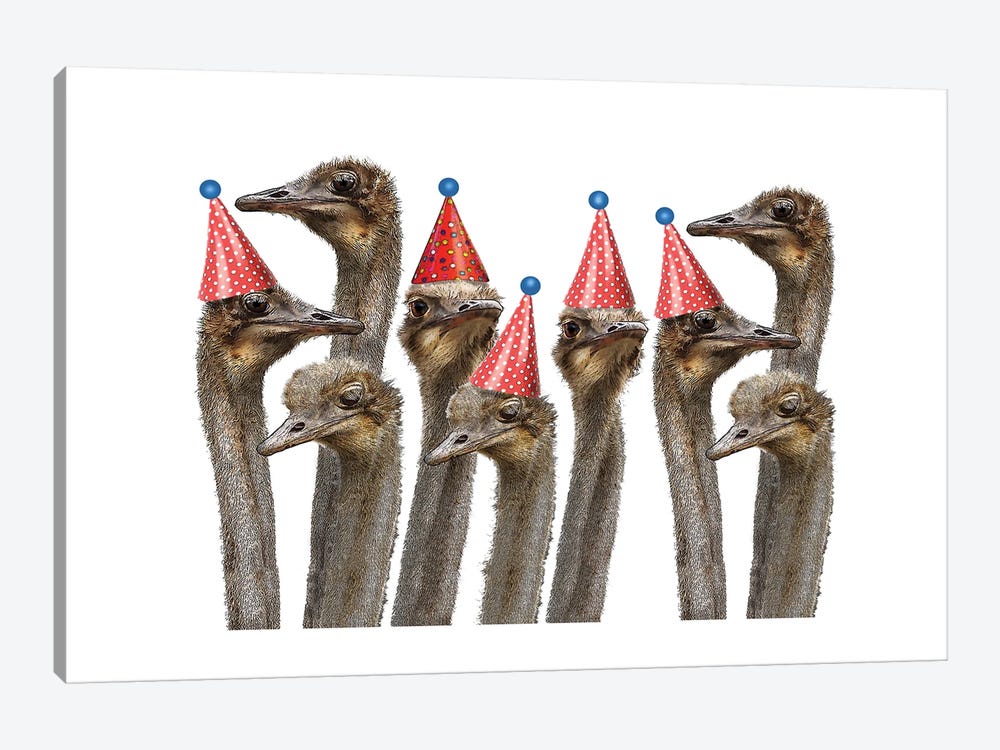 Ostriches In Hats by Eric Fausnacht 1-piece Canvas Art