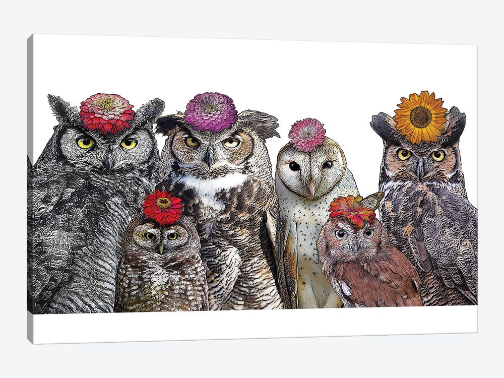 Owls With Flowers by Eric Fausnacht 1-piece Canvas Print