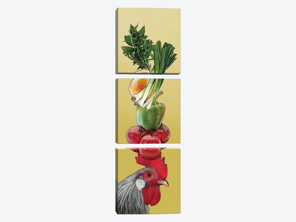 Gray Rooster With Vegetables On Head by Eric Fausnacht 3-piece Canvas Print