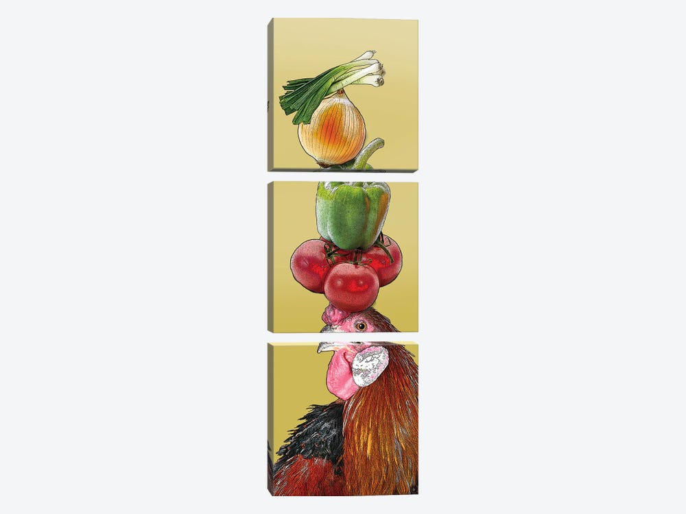 Rooster With Vegetables On Head by Eric Fausnacht 3-piece Canvas Art