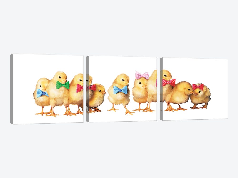 Chicks With Bow Ties by Eric Fausnacht 3-piece Canvas Artwork