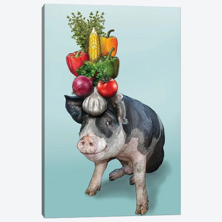 Pig With Vegetables On Head I Canvas Print #FAU164} by Eric Fausnacht Canvas Art Print