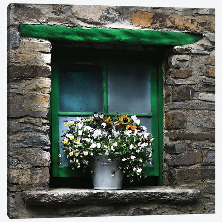 Ireland Green Window With Pansies Canvas Print #FAU170} by Eric Fausnacht Art Print