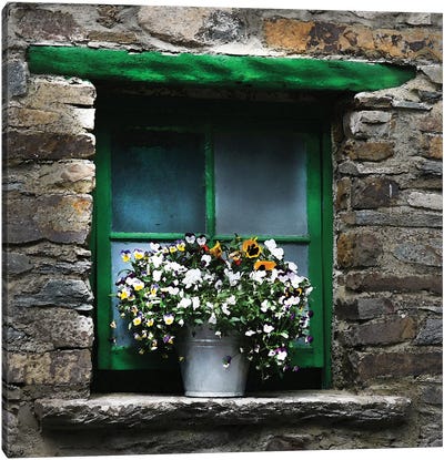 Ireland Green Window With Pansies Canvas Art Print - Eric Fausnacht 