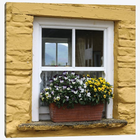 Ireland Yellow Farmhouse With Pansies Canvas Print #FAU171} by Eric Fausnacht Canvas Art Print