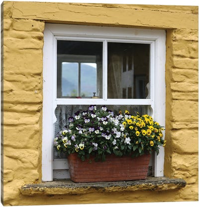 Ireland Yellow Farmhouse With Pansies Canvas Art Print - Pansies