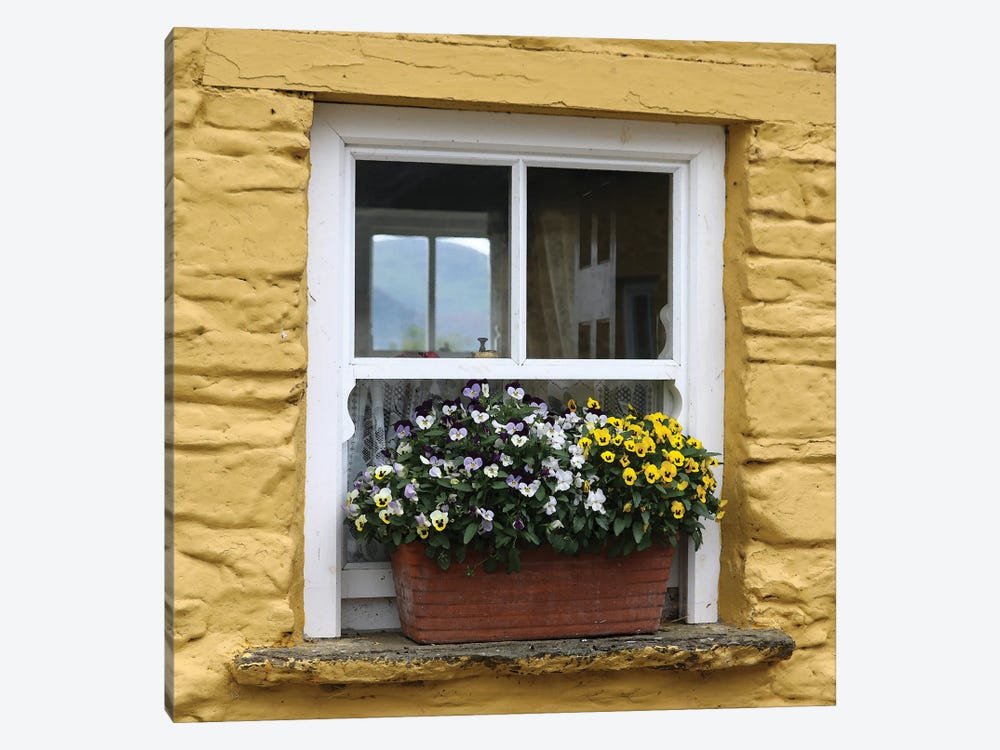 Ireland Yellow Farmhouse With Pansies by Eric Fausnacht 1-piece Art Print