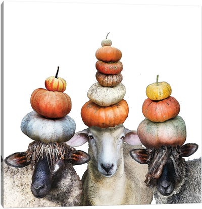 Three Sheep And Pumpkin Stacks Canvas Art Print - Eric Fausnacht 