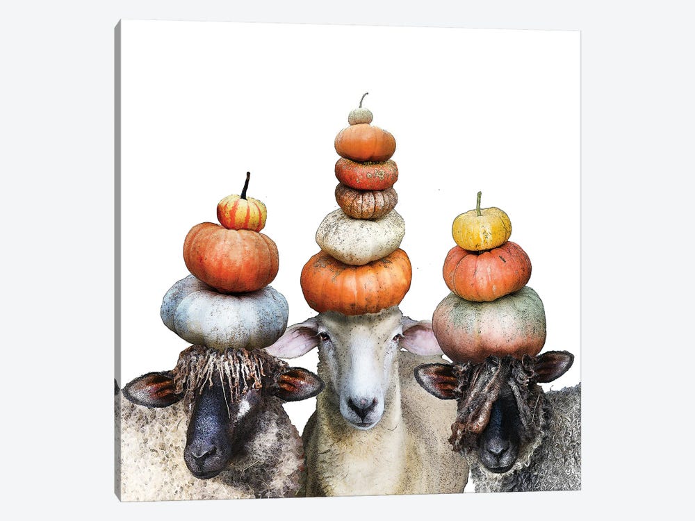 Three Sheep And Pumpkin Stacks by Eric Fausnacht 1-piece Canvas Print